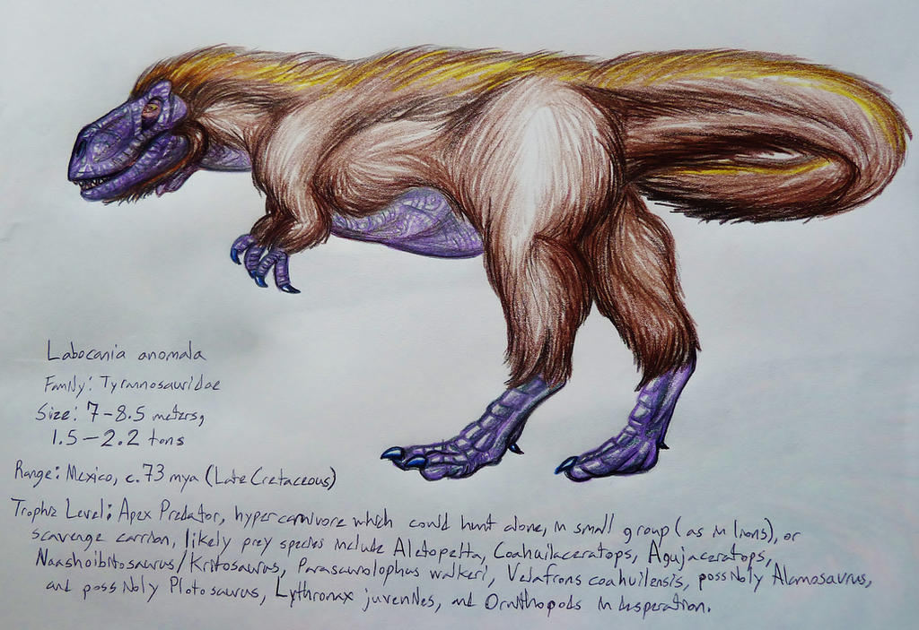 Labocania Labocania infosheet by SpiderMilkshake on DeviantArt