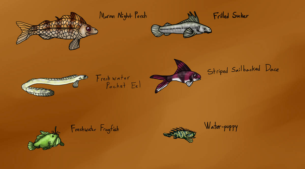 Mara Rara Fish Interesting Small Fish Species of Mara Isle by SpiderMilkshake on ...