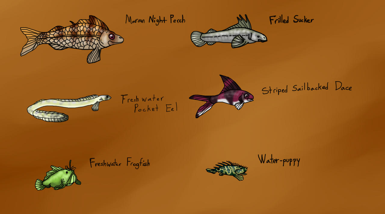 Interesting Small Fish Species of Mara Isle by SpiderMilkshake on DeviantArt