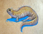 Streamside Salamander by SpiderMilkshake
