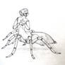 Parson Spider