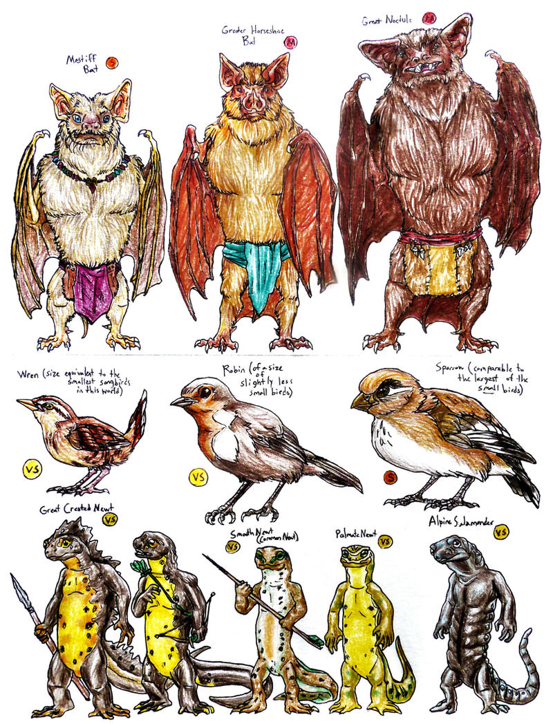 Redwall Races Redwall Species--Bats Small Birds and Salamanders by SpiderMilkshake on ...