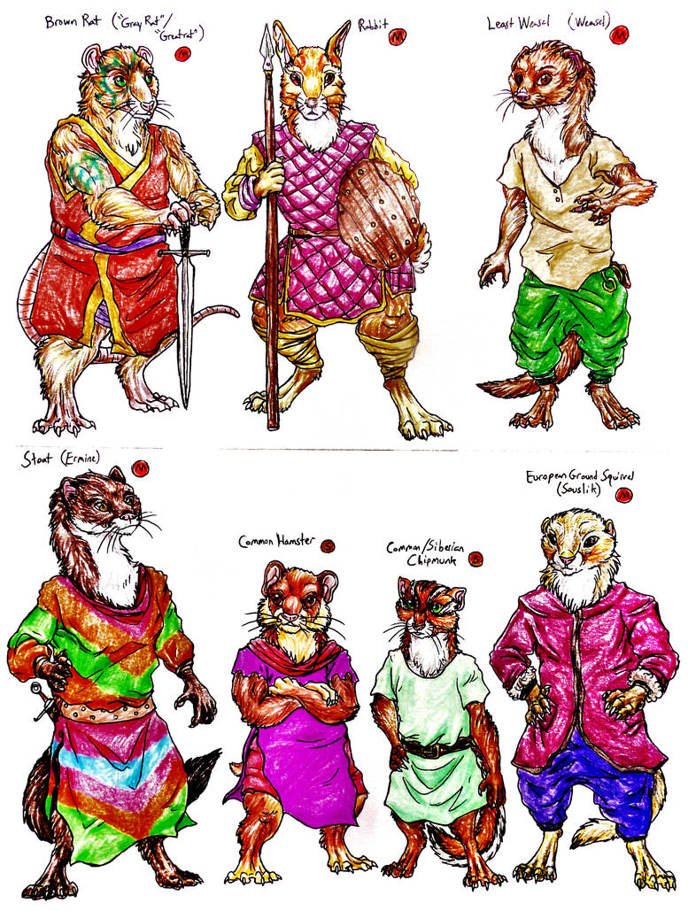 Redwall Species-Small Mustelids Rabbit and Rodents by SpiderMilkshake ...