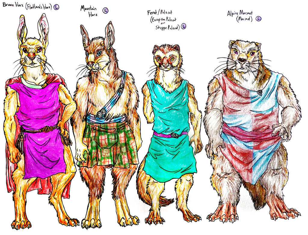 Redwall Races Redwall Species--Hares Ferret and Marmot by SpiderMilkshake on DeviantArt