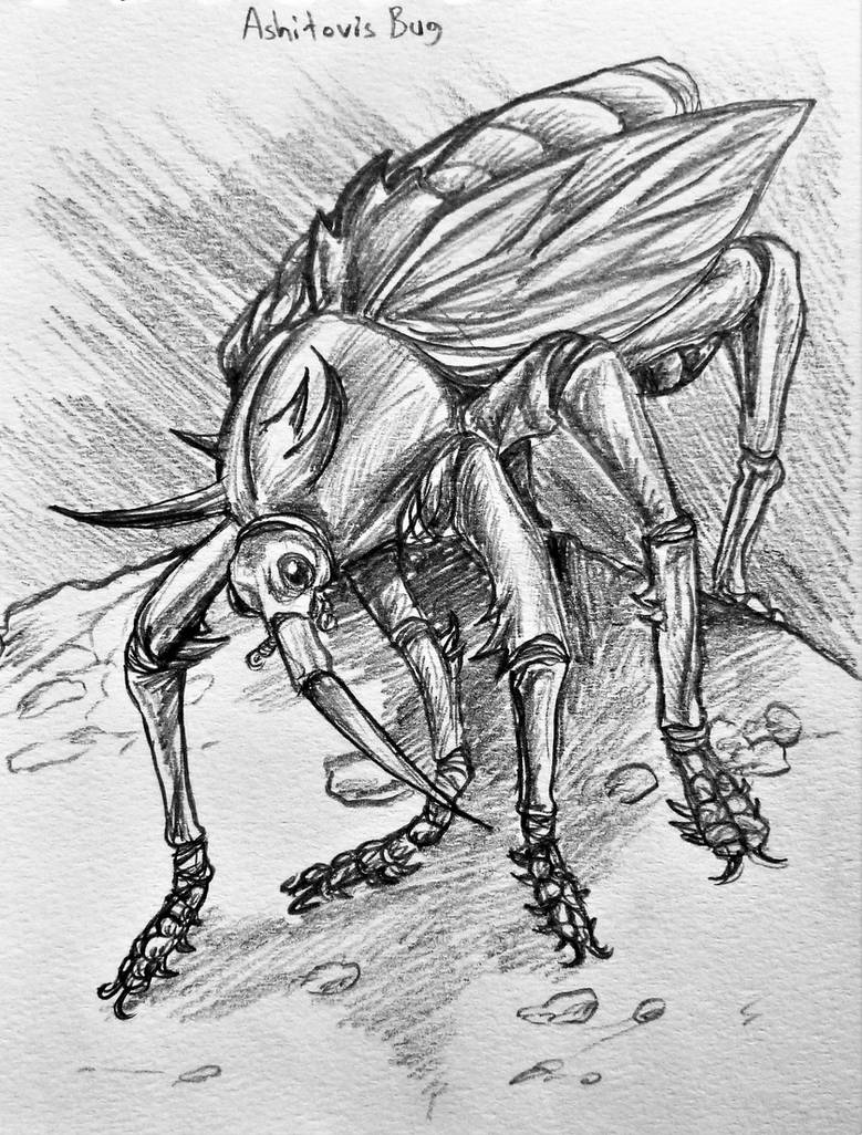 Deviantart Insect Horror Ancardia's Unusual Animals--the Ashitovis Bug by SpiderMilkshake on ...