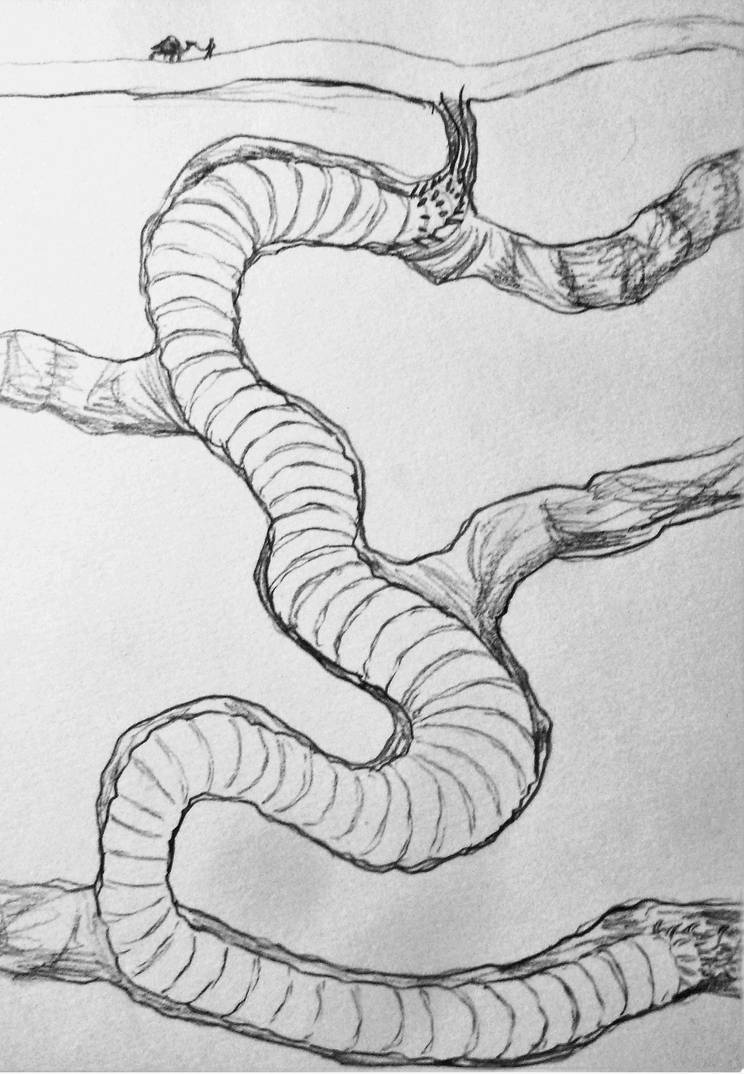 Sandworm Drawing Rference Ancardia's Unusual Animals--the Great Sandworm by SpiderMilkshake on ...