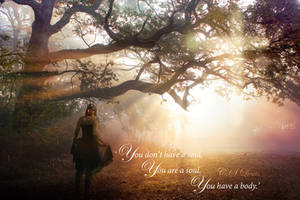 CS Lewis Quote - Photo Manip