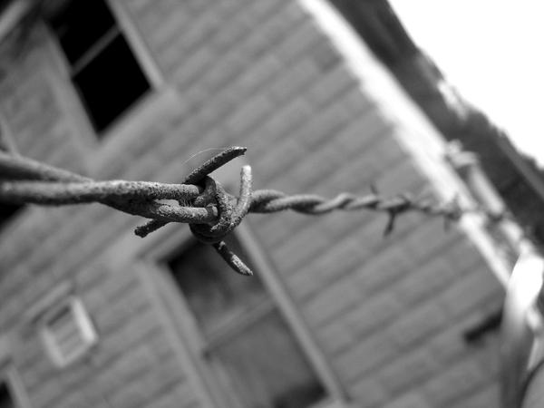 Barbed Wire