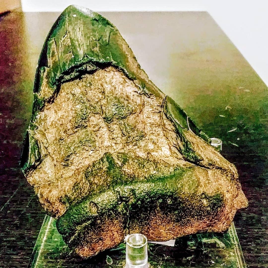 Megalodon Tooth by PinkWarrior30 on DeviantArt