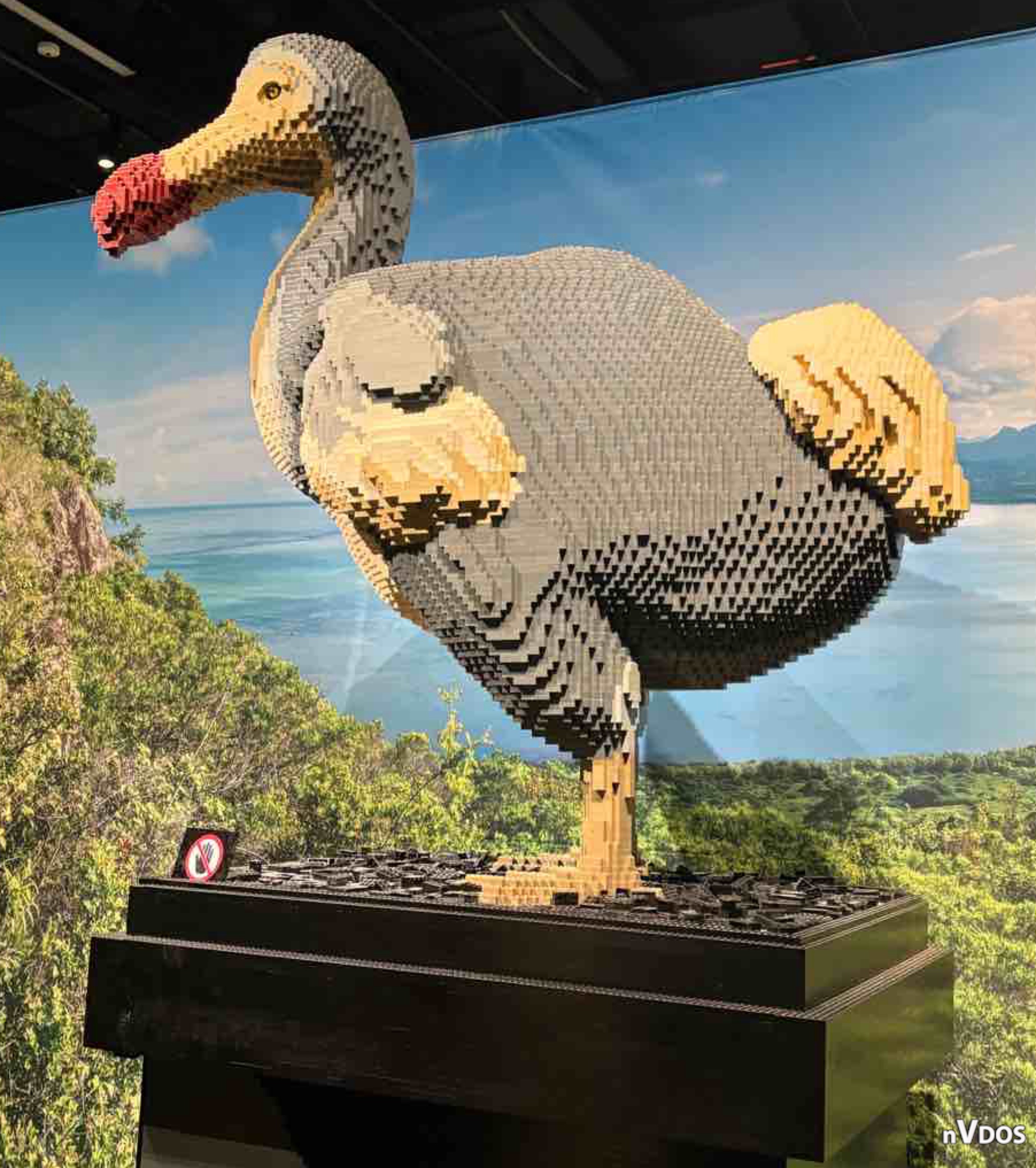 Brick Planet Exhibit: Dodo Bird