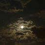 Moonlight Bright