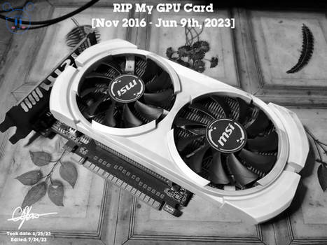 RIP My GPU Card