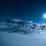 Bardufoss 1