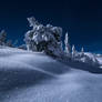 Winter night
