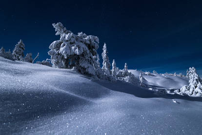Winter night