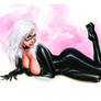 BLACK CAT Bw024