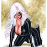 Black Cat Bw026