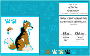 Journo Ref Sheet 2010