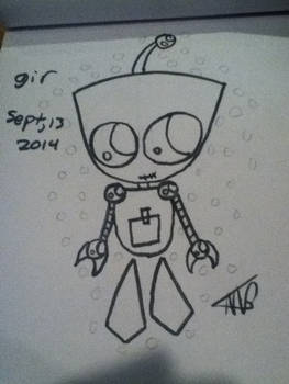 Gir the robot slave