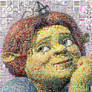 Fiona Mosaic