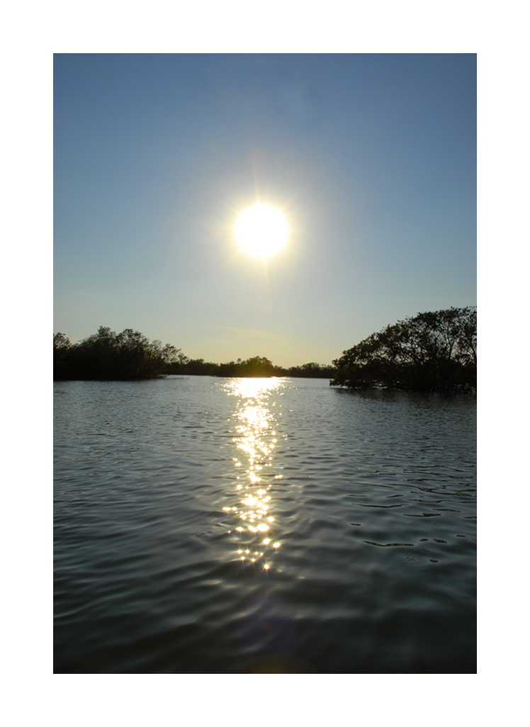 Everglades Sunset