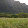 Hawaii Eastern Shore 2
