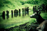 Resting... by juliapaganidesign