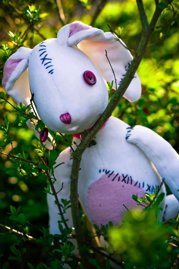 Messed up Bunny-Rabbit 4 by Majaroni on DeviantArt