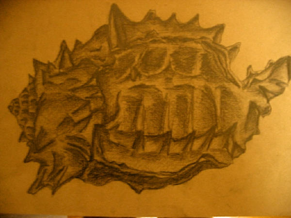Tough Shell by sw33tpi3 on DeviantArt