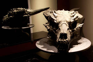 Dragon skull sculpt