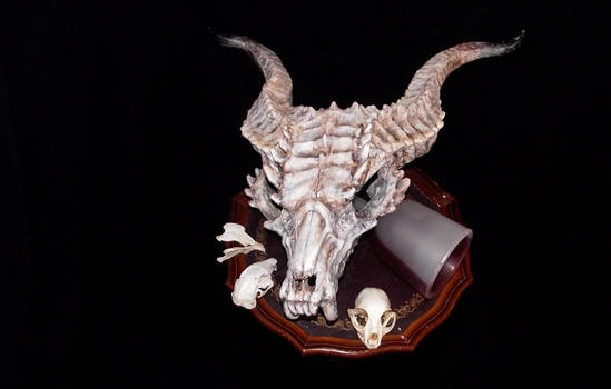 Dragon Skull And Akullls