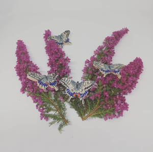 Swallowtail brooches