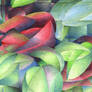 Cubist Flower Drawing