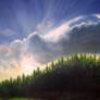 Sunset Over the Meadow