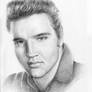 Elvis the King