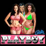 Playboy Pinball Carlotta Version copy