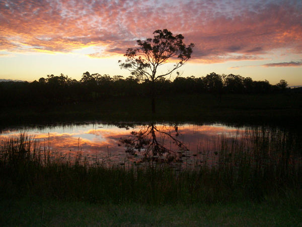 front yard sunset