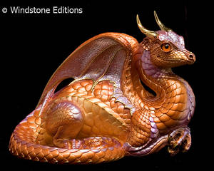 Copper Lilac Lap dragon
