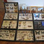 The family insect collection.