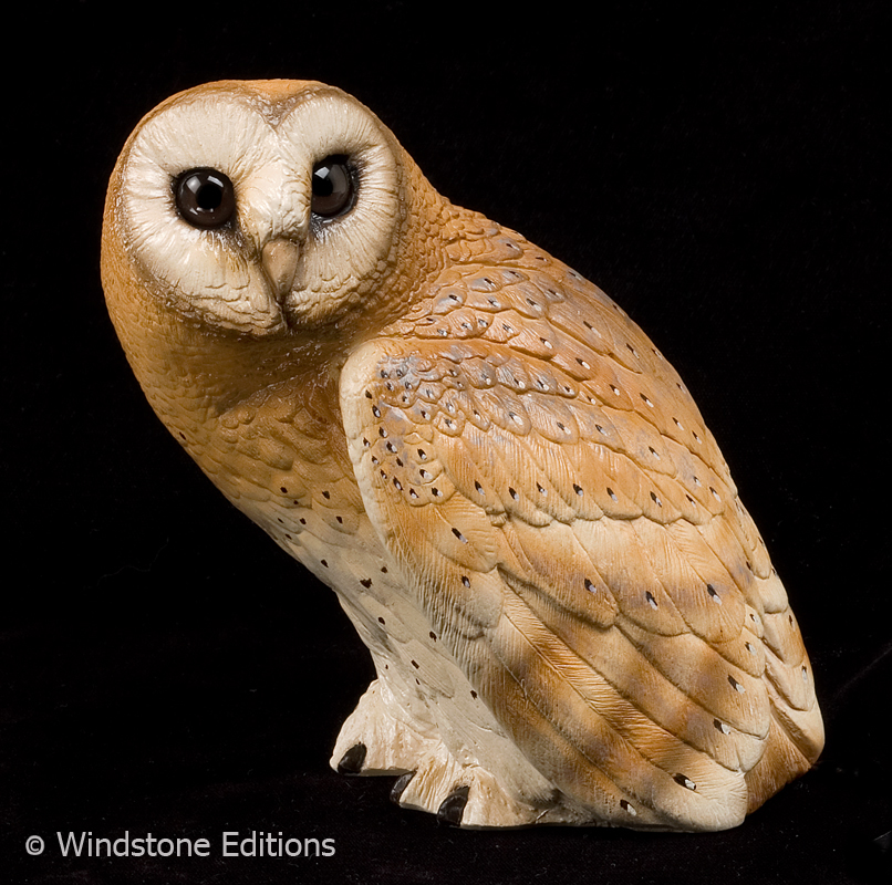 Barn owl