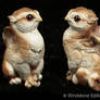 Barn owl griffin chicks