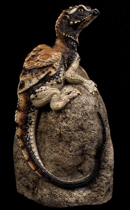 Little Rock dragon Crested gecko color by Reptangle on DeviantArt