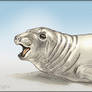 Seal