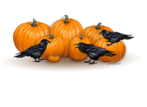 Pumpkins And Ravens