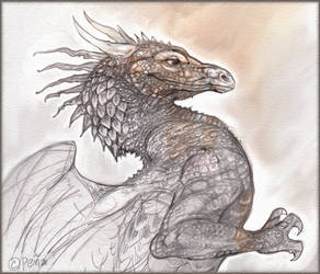 Dragon Sketch.