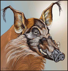 Red River Hog