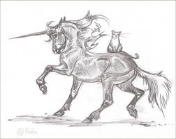 Grand Unicorn Bay #1 Cert sketch