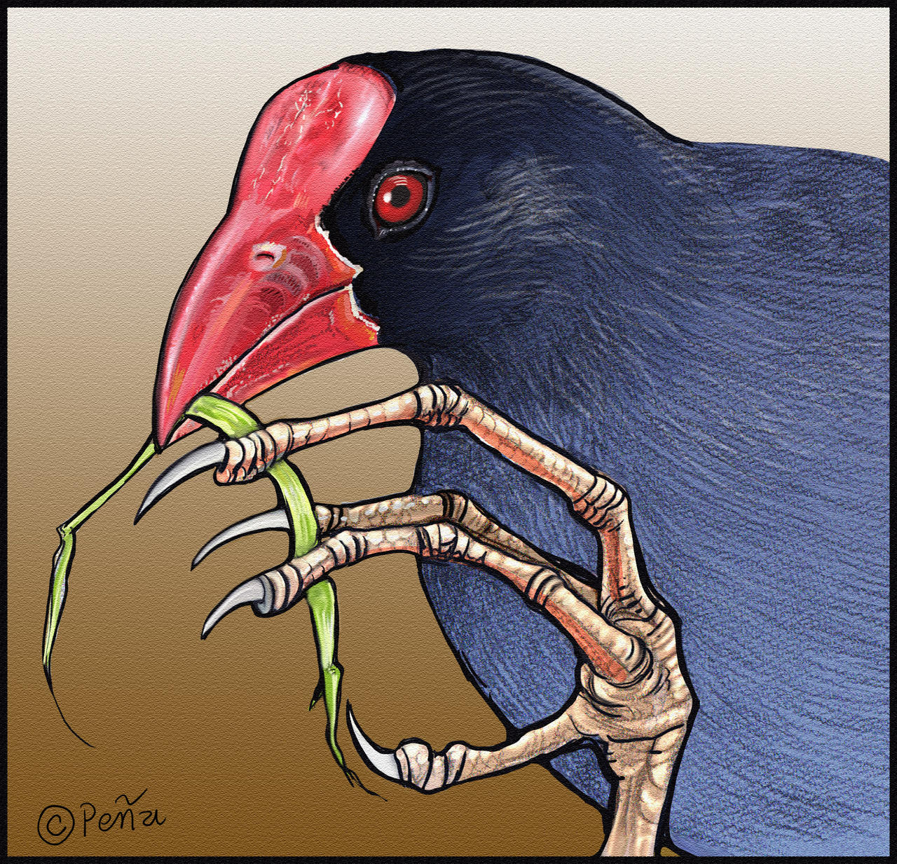 Pukeko Labels Pukeko by Reptangle on DeviantArt