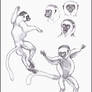 Sifakas