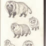 Tanukis